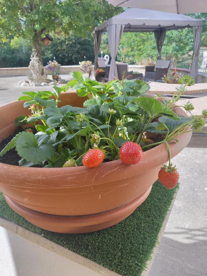 "Il Miglio" Country House Pettorano sul Gizio Exterior foto